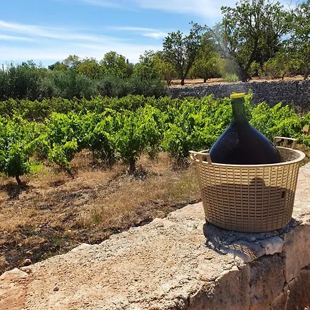 Villa Trullo Oasi Veronica Ostuni