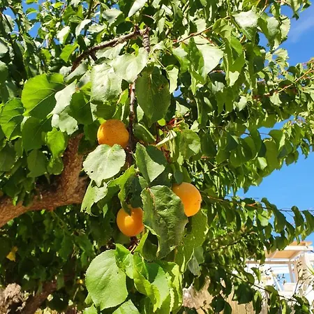 Villa Trullo Oasi Veronica Ostuni