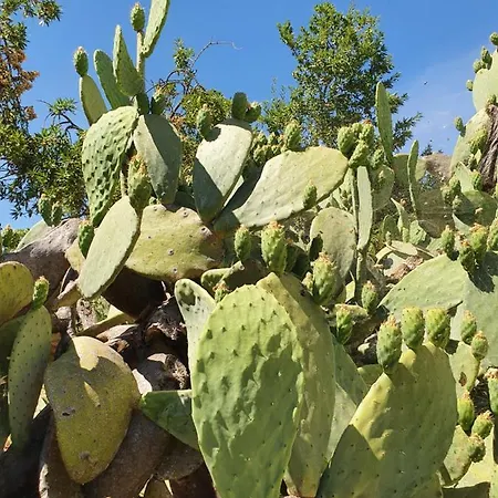 Villa Trullo Oasi Veronica *